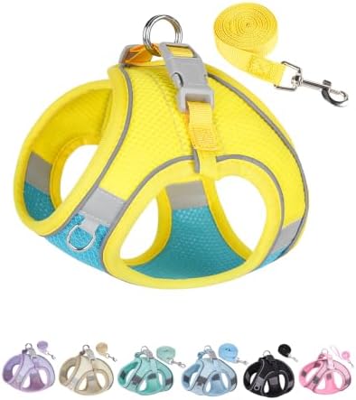 Solmoony Dog Harness for Small Medium Dogs No Pull, Puppy Harness and Leash Set by SOLMOONY