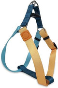 Blue Orange Tri-Color Small Dog Harness, Step-in Design by Pawhuggies