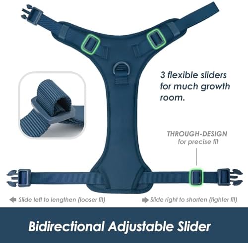 Sunraymascota No Pull Dog Harness - Image 5