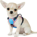 Eagloo Dog Harness for Small Dogs, No Pull Pet Vest by GoExplorewithEagloo