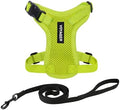 Voyager Step-in Lock Cat Harness & Leash Set by BestPetSuppliesLLC