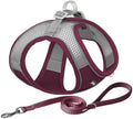AIITLE Dog Harness and Leash Set, Step-in Puppy Pet Vest, Burgundy XL by AIITLE-FORPETSBETTERLIFE