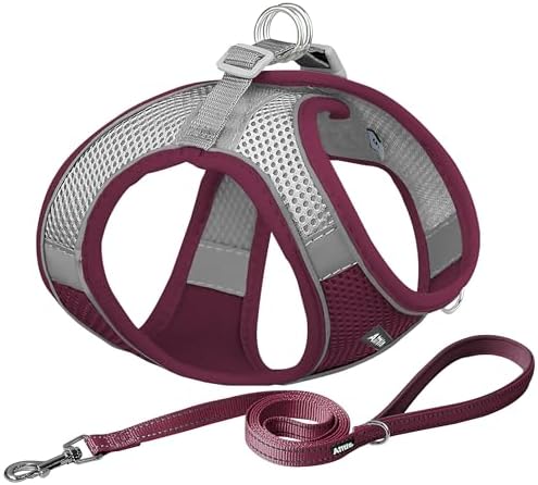 AIITLE Dog Harness and Leash Set, Step-in Puppy Pet Vest, Burgundy XL by AIITLE-FORPETSBETTERLIFE