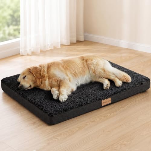 Patas Lague Orthopedic Large Dog Bed Washable Pet Sofa Mat 36''X24'' Black by PatasLague