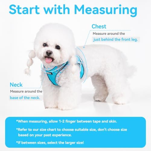 Petank Dog Harness for Small Medium Dogs No Pull, Puppy Harness and Leash Set - Image 4