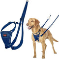 Halti No Pull Dog Harness | Size M, Cobalt Blue by Halti