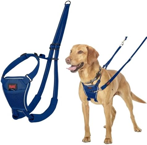 Halti No Pull Dog Harness | Size M, Cobalt Blue by Halti