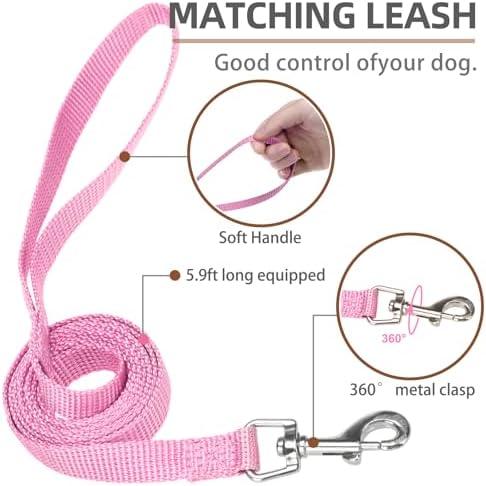 PUPTECK Small Dog Harness and Leash Set No Pull - Image 5