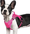 rabbitgoo Tactical Dog Harness for Small Dogs, No Pull Service Pet Vest by rabbitgoo