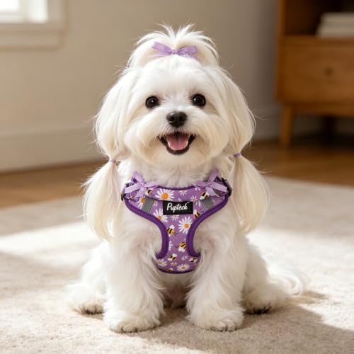 PUPTECK Dog Harness and Leash Set Small Sized, Step in No Pull Adjustable Puppy - Image 6