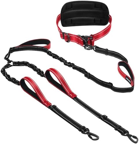 Hands Free Leash for 2 Large Dogs, No Tangle Waist Walking Bungee Leash by PawistaPal