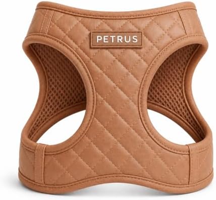 Step in Dog Harness, Lightweight Breathable Mesh Soft Padded Pet Vest, Vegan by PETRUS