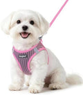 Eagloo Small Dog Harness and Leash Set, Step in Small Sized Puppy Pet Vest by GoExplorewithEagloo