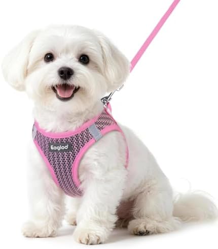 Eagloo Small Dog Harness and Leash Set, Step in Small Sized Puppy Pet Vest by GoExplorewithEagloo