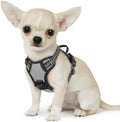 Eagloo Dog Harness for Small Dogs, No Pull Pet Vest by GoExplorewithEagloo