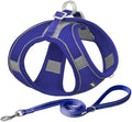 AIITLE Dog Harness and Leash Set, Step-in Puppy Pet Vest, Royal Blue XS by AIITLE-FORPETSBETTERLIFE