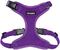 Voyager Step-in Lock Dog Harness by BestPetSuppliesLLC