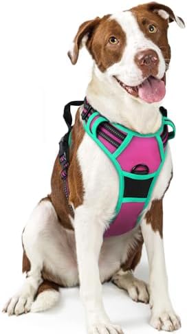 rabbitgoo Dog Harness, No Pull for Large Dogs by rabbitgoo