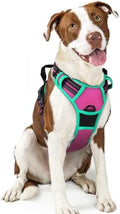 rabbitgoo Dog Harness, No Pull for Large Dogs by rabbitgoo