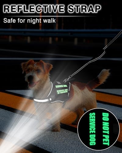 Service Dog Vest Harness and Leash Set+10 Patches - Image 5