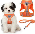 KOOLTAIL Thanksgiving Dog Harness by KOOLTAIL
