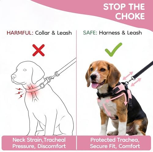 No Pull Reflective Adjustable Dog Harness - Image 5