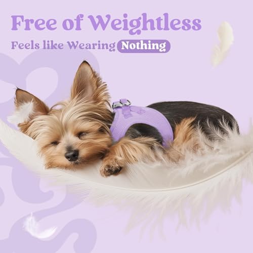 rabbitgoo Step-in Small Dog Harness, Puppy Vest - Image 5