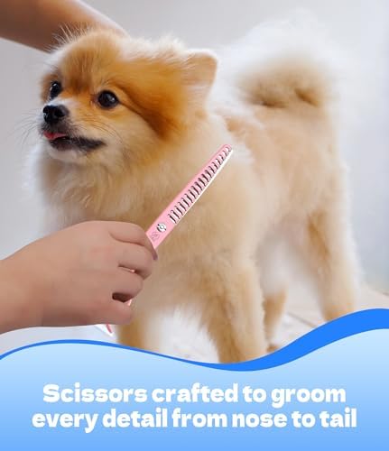 6.5" Professional Thinning Dog Grooming Scissors, Japanese 440C Stainless Steel - Image 7