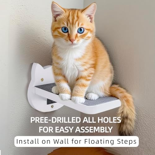 ESPETS White Painted Wooden Cat Wall Floating Steps Set of 3 - Image 5