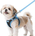 rabbitgoo Dog Harness Small Sized and Leash Set, Step in Soft Vest by rabbitgoo