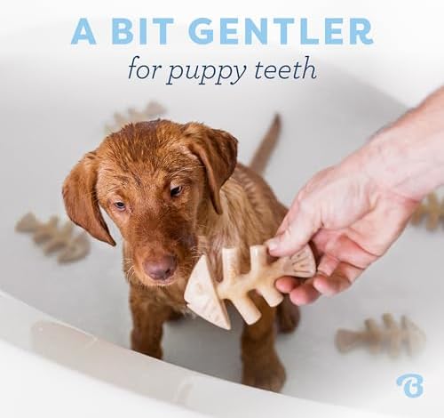 Benebone Puppy 4-Pack Dog Chew Toys - Image 2