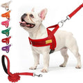 BEAUTYZOO Dog Harness Medium Sized and Leash Set, No Pull Step in Pet Vest by BEAUTYZOO