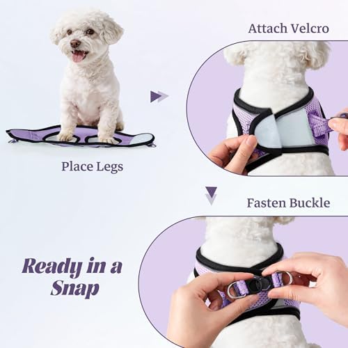No Pull Dog Puppy Harness and Leash Set Reflective Mesh Vest Small - Image 4