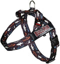 BULLHUG Adjustable Dog Harness– No Pull, No Choke – by BULLHUG