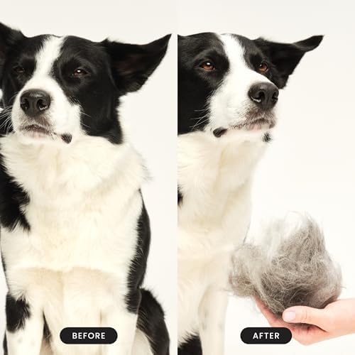 Pet Teezer De-Shedding Dog Brush - Image 5
