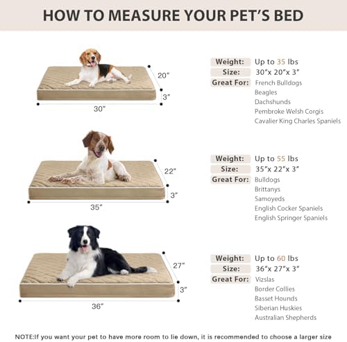 WNPETHOME Orthopedic Waterproof Large Sized Senior Dogs Bed - Image 5