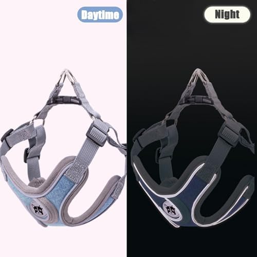 Patas Lague Dog Harness with Leash Set - Image 4