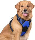 rabbitgoo Dog Harness, No Pull for Large Dogs by rabbitgoo