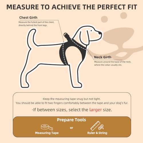 PUPTECK Dog Harness, Collar and Leash Set No Pull - Image 2
