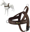 Plutus Pet No Pull Dog Harness for Medium Sized Dog, Breathable Mesh Padded by PLUTUSPET