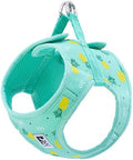 RC Pet Products Cirque Soft Walking Step-in Dog Harness, Pineapple Parade by RCPets