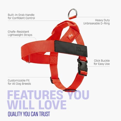 Dog Friendly Co. Dog Harness for Small Dogs, Adjustable - Image 5
