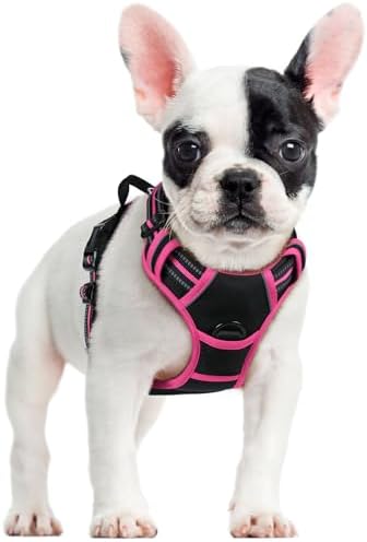 rabbitgoo Dog Harness, No Pull for Small Dogs by rabbitgoo
