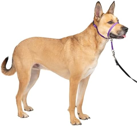 PetSafe Gentle Leader No Pull Dog Headcollar, Deep Purple by PetSafe