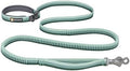 Ruffwear, Roamer Bungee Dog Leash, River Rock Green by RuffwearInc