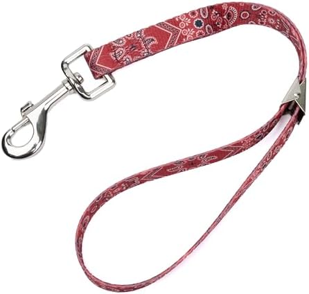 Country Brook Petz by CountryBrookPetz