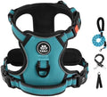 IVY&LANE No Pull Dog Harness for Small Dogs, Reflective Dog Vest Harness by IVYLANE