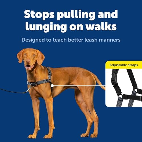 PetSafe Easy Walk Harness, No Pull Dog Harness, Charcoal Gray - Image 3