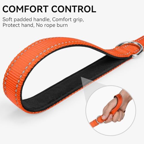 Joytale Reflective Dog Leash for Small Dogs, 5 FT x 3/4" - Image 3