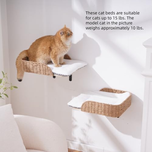 SHENGOCASE 2-Pack Wooden Cat Wall Bed - Image 6
